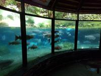 1002_Rainbow Springs &ndash; &copy; Jörg Nesse (Eberhardt TRAVEL)