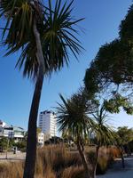 1118_Wellington &ndash; &copy; Jörg Nesse (Eberhardt TRAVEL)