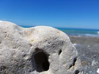 1208_Kekerengu Beach &ndash; &copy; Jörg Nesse (Eberhardt TRAVEL)
