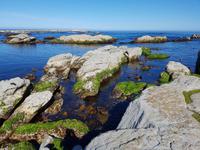 1211_Kaikoura &ndash; &copy; Jörg Nesse (Eberhardt TRAVEL)