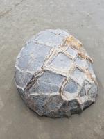 1421 Moeraki Boulders &ndash; &copy; Jörg Nesse (Eberhardt TRAVEL)