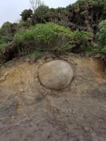 1423 Moeraki Boulders &ndash; &copy; Jörg Nesse (Eberhardt TRAVEL)