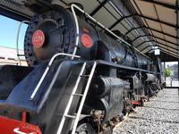1426_Dunedin &ndash; &copy; Jörg Nesse (Eberhardt TRAVEL)
