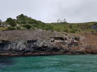 1432_Otago Peninsula &ndash; &copy; Jörg Nesse (Eberhardt TRAVEL)
