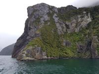 1611_Milfordsound &ndash; &copy; Jörg Nesse (Eberhardt TRAVEL)