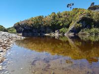 1819_Ship Creek &ndash; &copy; Jörg Nesse (Eberhardt TRAVEL)
