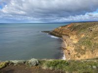 5. Reisetag – Tagesausflug zur Great Ocean Road – Point Addis &ndash; &copy; Andreas Wolfsteller (Eberhardt TRAVEL)