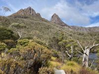 9. Reisetag – Tasmanien – Cradle Mountain-Lake St Clair National Park – Wanderung um den Dove Lake &ndash; &copy; Andreas Wolfsteller (Eberhardt TRAVEL)