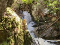 9. Reisetag – Tasmanien – Cradle Mountain-Lake St Clair National Park – Wanderung zum Crater Lake – Crater Falls &ndash; &copy; Andreas Wolfsteller (Eberhardt TRAVEL)