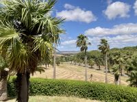 Barossa Valley &ndash; &copy; Mareike Schmidt (Eberhardt TRAVEL)
