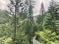 Botanischer Garten &ndash; &copy; Mareike Schmidt (Eberhardt TRAVEL)