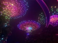 Gardens by the Bay &ndash; &copy; Mareike Schmidt (Eberhardt TRAVEL)