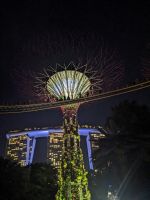 6. Gardens by the Bay Lichtershow Singapur &ndash; &copy; Teresa Rumpel (Eberhardt TRAVEL)