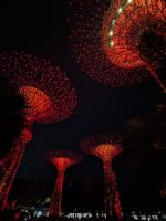 7. Gardens by the Bay Lichtershow Singapur &ndash; &copy; Teresa Rumpel (Eberhardt TRAVEL)