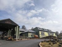 109. Cradle Mountain Resort, Tasmanien &ndash; &copy; Teresa Rumpel (Eberhardt TRAVEL)