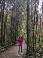 145. Nelson Falls, Tasmanien &ndash; &copy; Teresa Rumpel (Eberhardt TRAVEL)