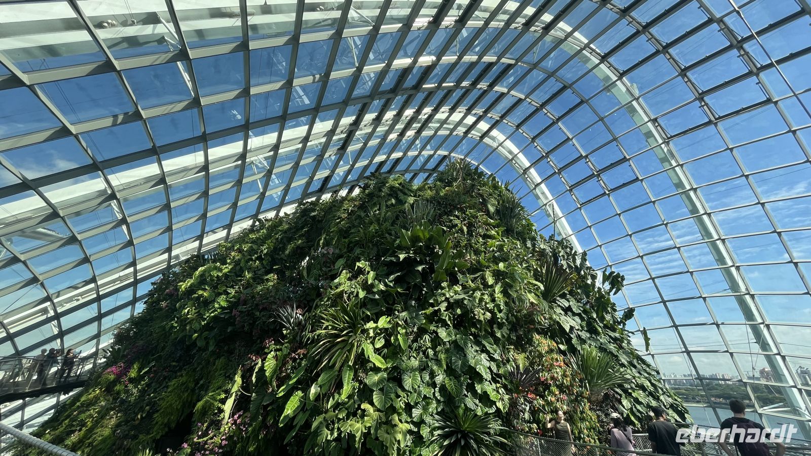 Cloud Forest &ndash; &copy; Valentin Meyer-Plath (Eberhardt TRAVEL)