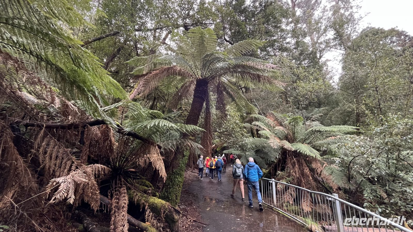 Mount Field National Park &ndash; &copy; Valentin Meyer-Plath (Eberhardt TRAVEL)