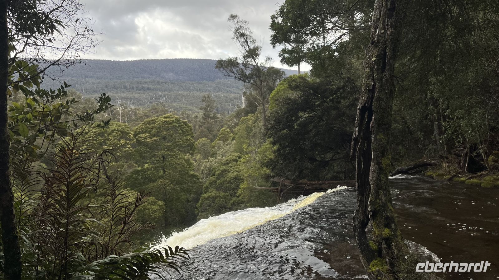Russel Falls &ndash; &copy; Valentin Meyer-Plath (Eberhardt TRAVEL)