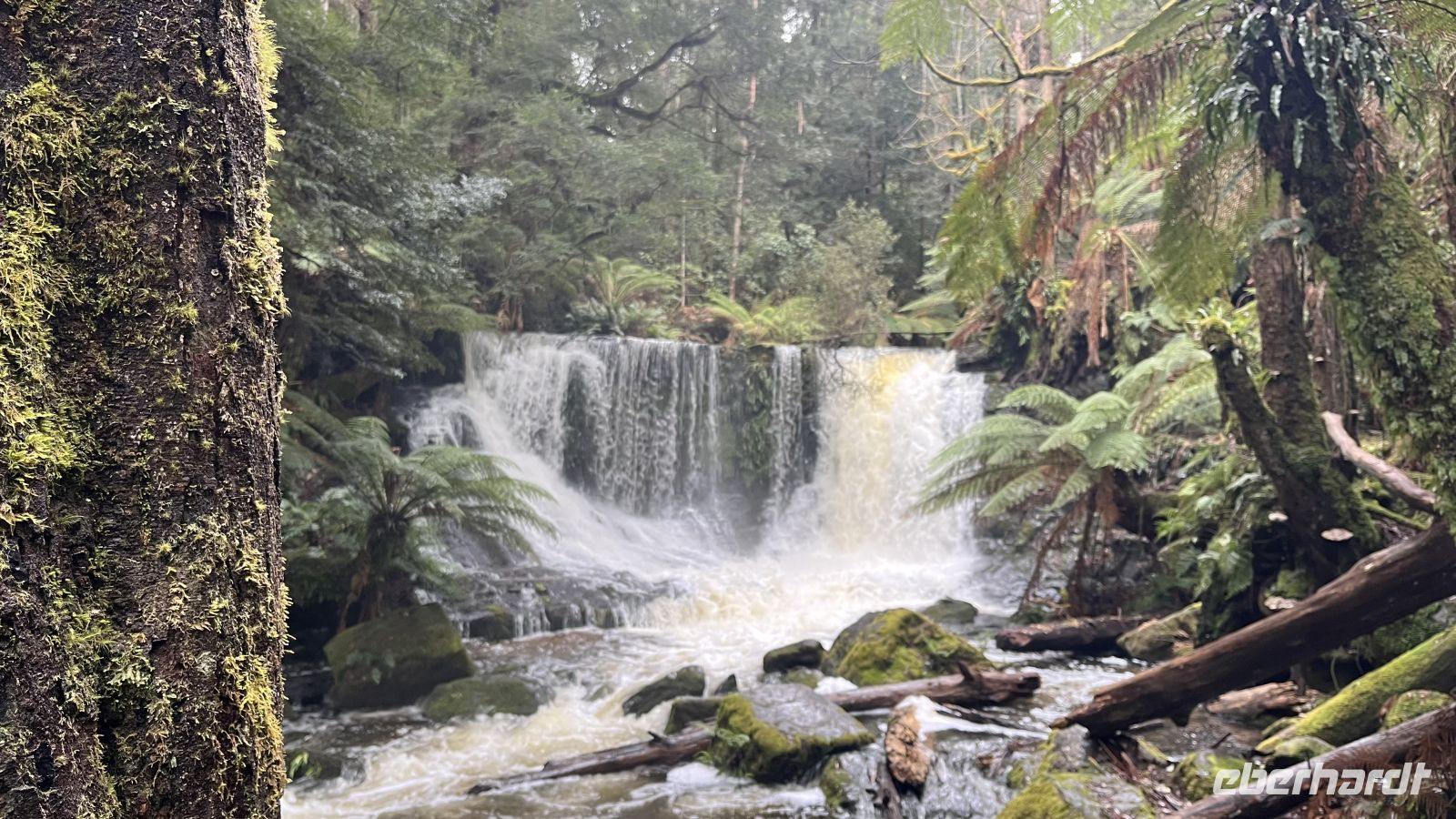 Russel Falls &ndash; &copy; Valentin Meyer-Plath (Eberhardt TRAVEL)