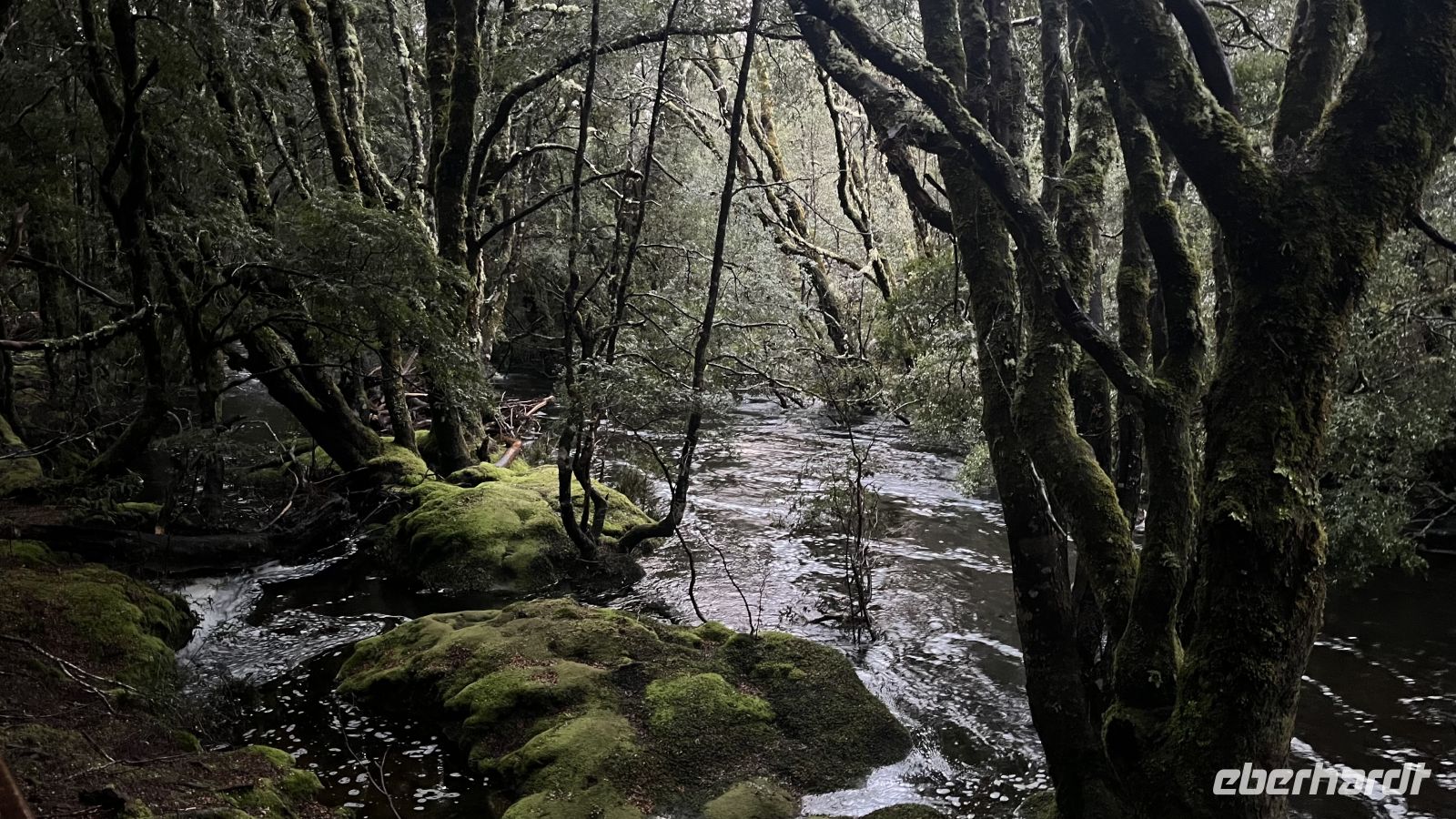 Pencil Pine Creek &ndash; &copy; Valentin Meyer-Plath (Eberhardt TRAVEL)