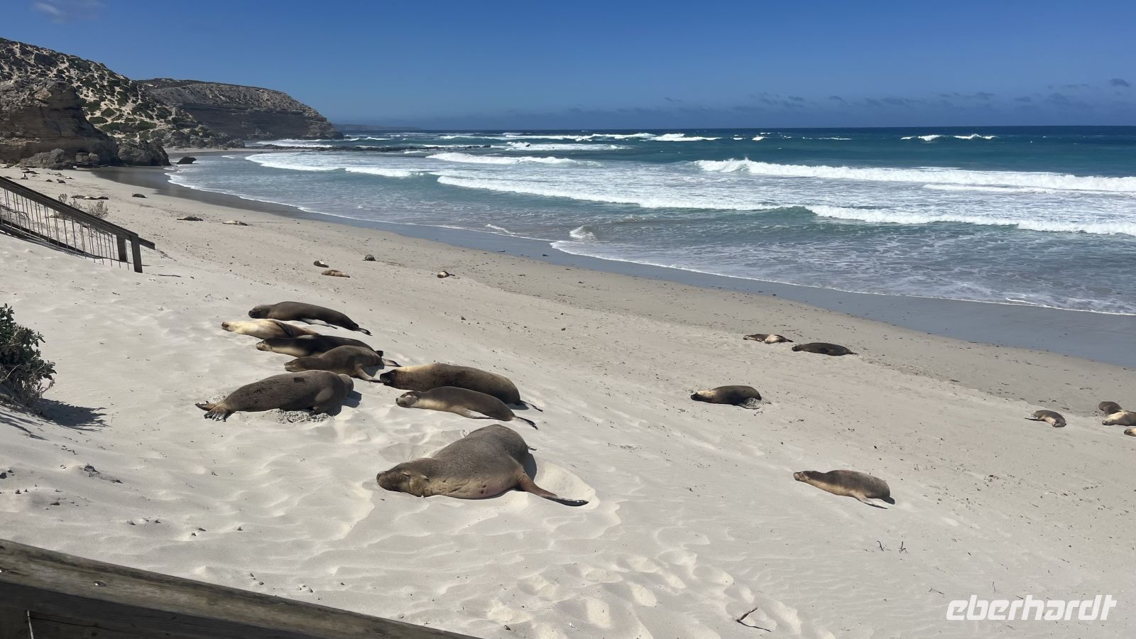Seal Bay &ndash; &copy; Valentin Meyer-Plath (Eberhardt TRAVEL)