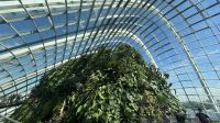 Cloud Forest &ndash; &copy; Valentin Meyer-Plath (Eberhardt TRAVEL)