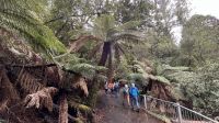 Mount Field National Park &ndash; &copy; Valentin Meyer-Plath (Eberhardt TRAVEL)
