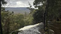 Russel Falls &ndash; &copy; Valentin Meyer-Plath (Eberhardt TRAVEL)