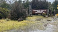 Wombat &ndash; &copy; Valentin Meyer-Plath (Eberhardt TRAVEL)