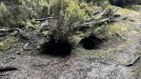 Wombathöhle &ndash; &copy; Valentin Meyer-Plath (Eberhardt TRAVEL)