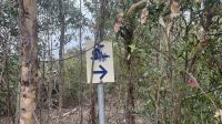 Koala Walk &ndash; &copy; Valentin Meyer-Plath (Eberhardt TRAVEL)