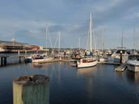 010.Hobart &ndash; &copy; Maria Michel (Eberhardt TRAVEL)