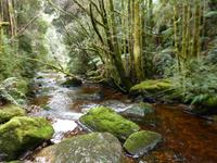 038.Franklin NP &ndash; &copy; Maria Michel (Eberhardt TRAVEL)