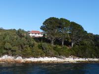 062.Strahan-Bootsfahrt &ndash; &copy; Maria Michel (Eberhardt TRAVEL)