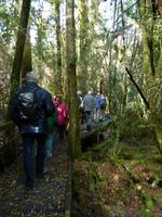 070.Strahan-Bootsfahrt-Gordon Fluss &ndash; &copy; Maria Michel (Eberhardt TRAVEL)