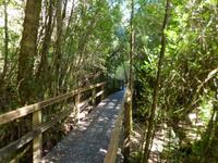 071.Strahan-Bootsfahrt-Gordon Fluss &ndash; &copy; Maria Michel (Eberhardt TRAVEL)