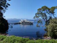 081.Strahan-Bootsfahrt-Sarah Insel &ndash; &copy; Maria Michel (Eberhardt TRAVEL)