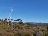 100.unterwegs-Tasmanien &ndash; &copy; Maria Michel (Eberhardt TRAVEL)