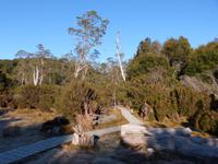 109.Cradle Mountain Lodge &ndash; &copy; Maria Michel (Eberhardt TRAVEL)