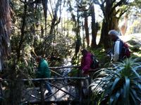 113.Cradle Mountain NP &ndash; &copy; Maria Michel (Eberhardt TRAVEL)