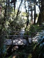114.Cradle Mountain NP &ndash; &copy; Maria Michel (Eberhardt TRAVEL)