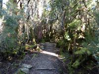 115.Cradle Mountain NP &ndash; &copy; Maria Michel (Eberhardt TRAVEL)
