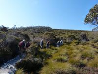 122.Cradle Mountain NP &ndash; &copy; Maria Michel (Eberhardt TRAVEL)