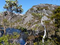 131.Cradle Mountain NP &ndash; &copy; Maria Michel (Eberhardt TRAVEL)