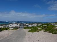 193.Seal Bay-Kangaroo Island &ndash; &copy; Maria Michel (Eberhardt TRAVEL)