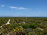 306.Wedge Island Lookout &ndash; &copy; Maria Michel (Eberhardt TRAVEL)