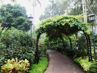 0032_BotanischerGartenSingapur.jpg &ndash; &copy; Rebekka Böhme (Eberhardt TRAVEL)
