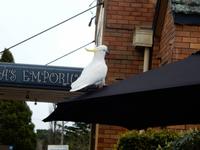 0069_BlueMountains.jpg &ndash; &copy; Rebekka Böhme (Eberhardt TRAVEL)