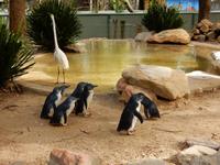 0080_FeatherdaleWildlifePark.jpg &ndash; &copy; Rebekka Böhme (Eberhardt TRAVEL)